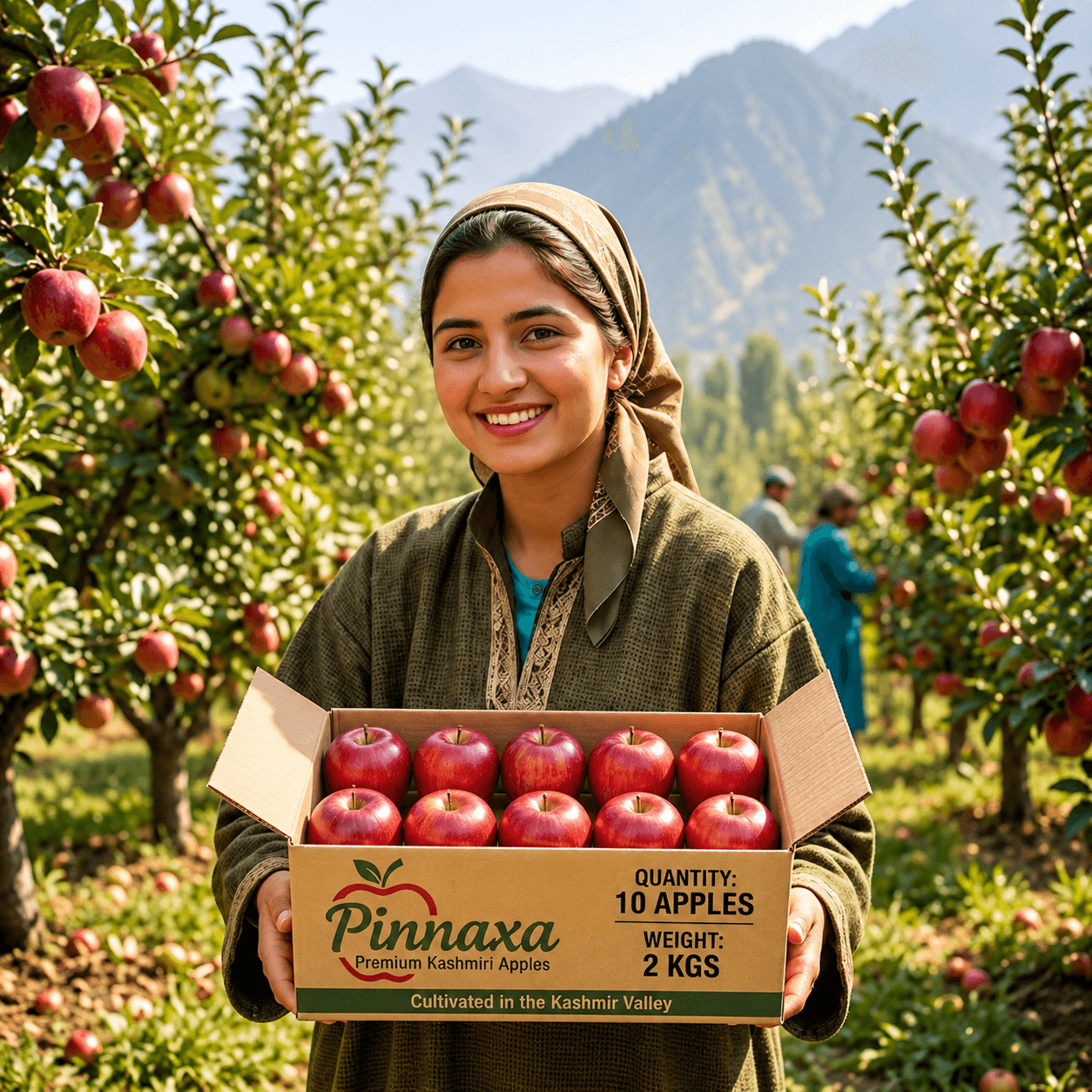 Kashmiri Apple 10 Pcs in 2 Kgs Pack